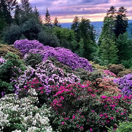 Stylish Oldtown Free Parking Air Condition