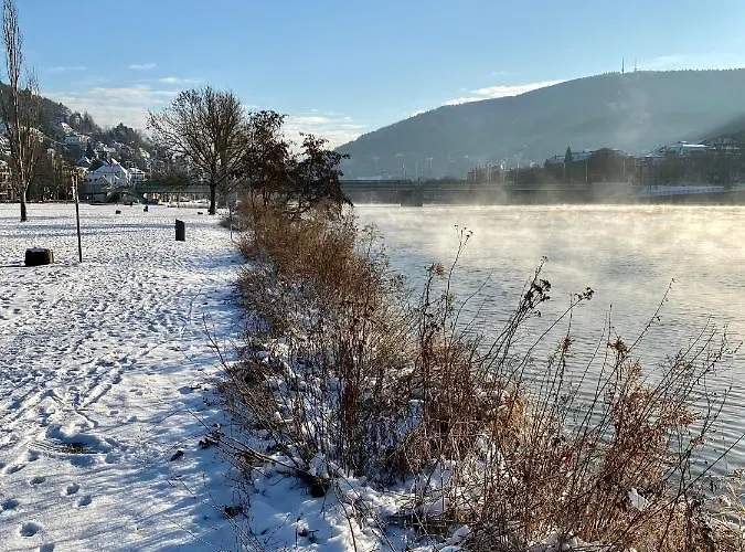 Stylish Oldtown Free Parking Air Condition * Heidelberg