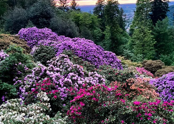 Stylish Oldtown Free Parking Air Condition